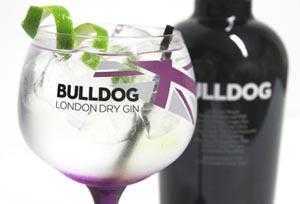 Bulldog Gin y Gatos